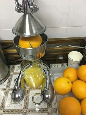 Manual Pomegranate Juice Machine