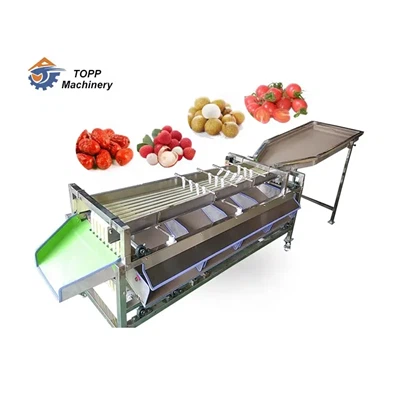 Mesin Isih Penggredan Olive Cherry Kurma