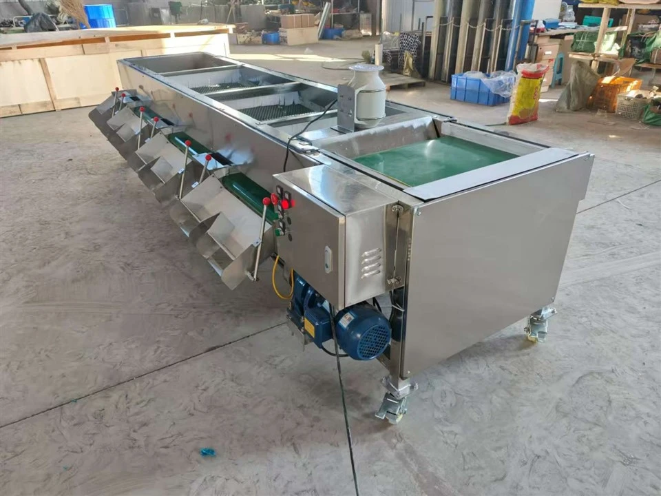 Blueberry Sorting And Selecting Machine suppliers
