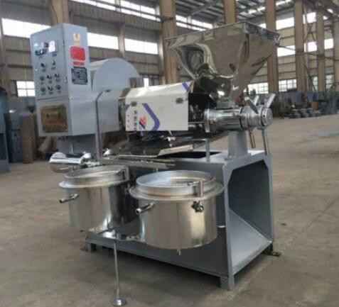Screw Oil Press Machine Screw Oil Press Machine