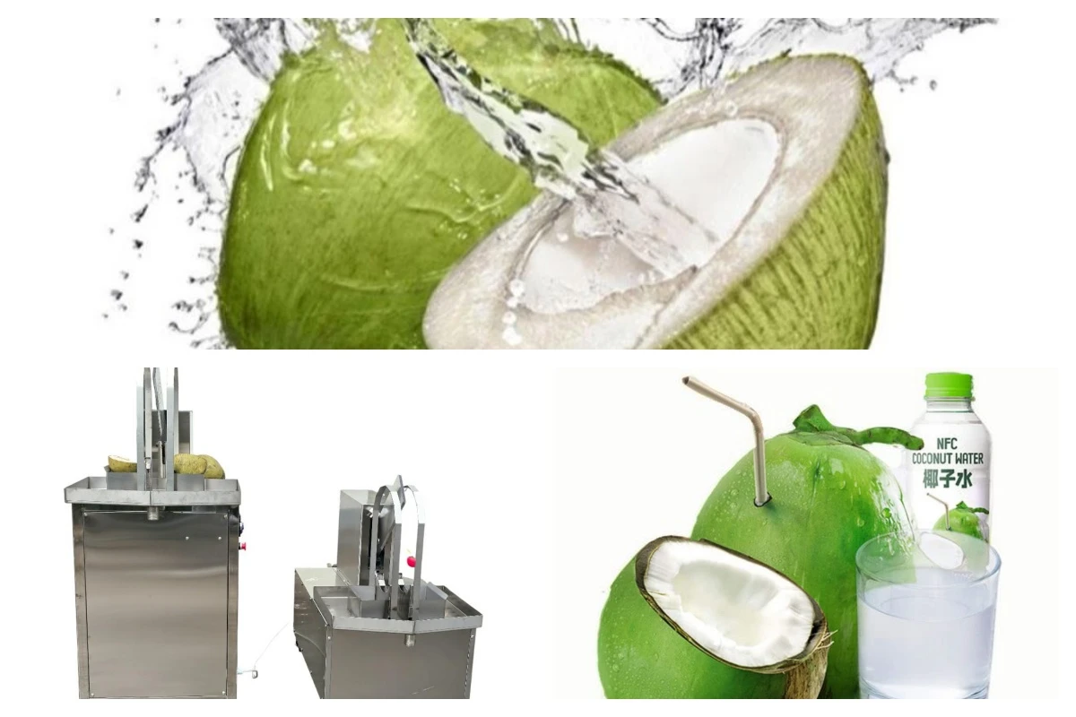 coconut machine 1 coconut machine 1