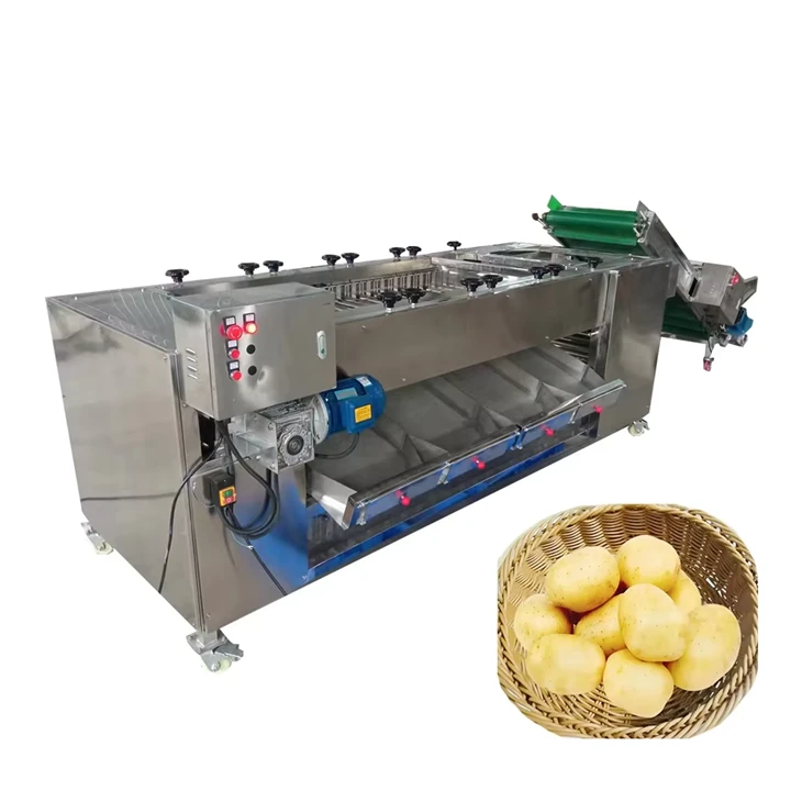 Roller Type Fruit Sorting Machine