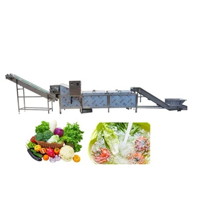 Mesin blanching sayur automatik