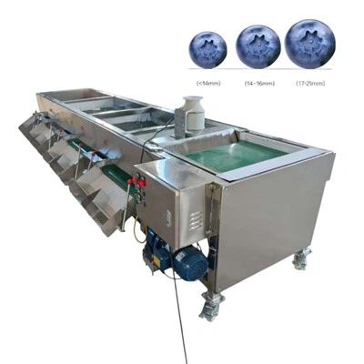 Mesin Isih Buah Blueberry Grader