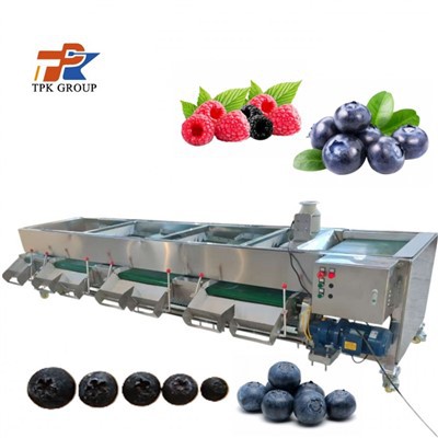 Mesin Penggredan Berry Borong