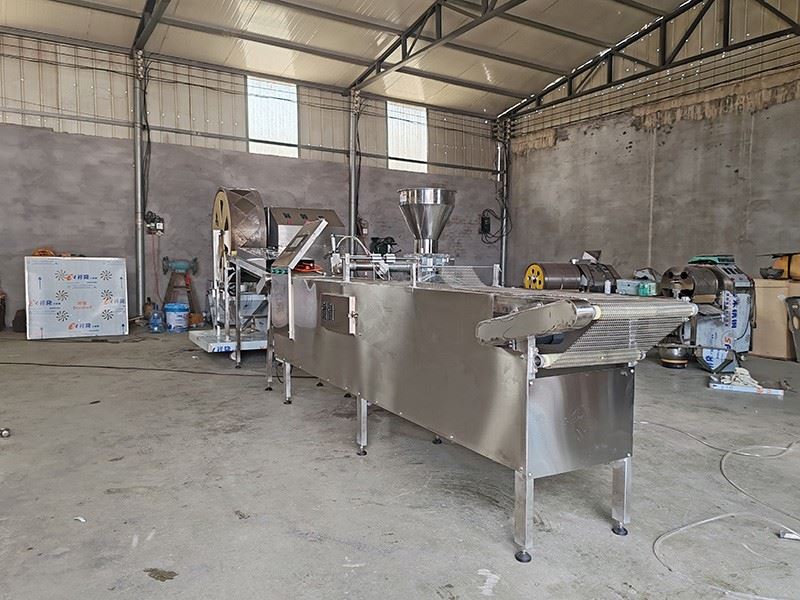 Spring Roll Processing Line factory